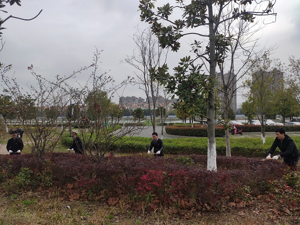 微信圖片_20210304142848.jpg